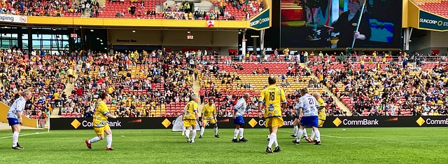 体育世预赛：威尔士1-0乌克兰挺进世界杯